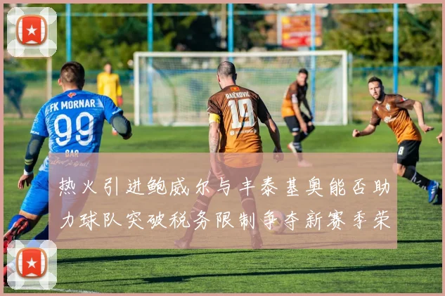 热火引进鲍威尔与丰泰基奥能否助力球队突破税务限制争夺新赛季荣誉