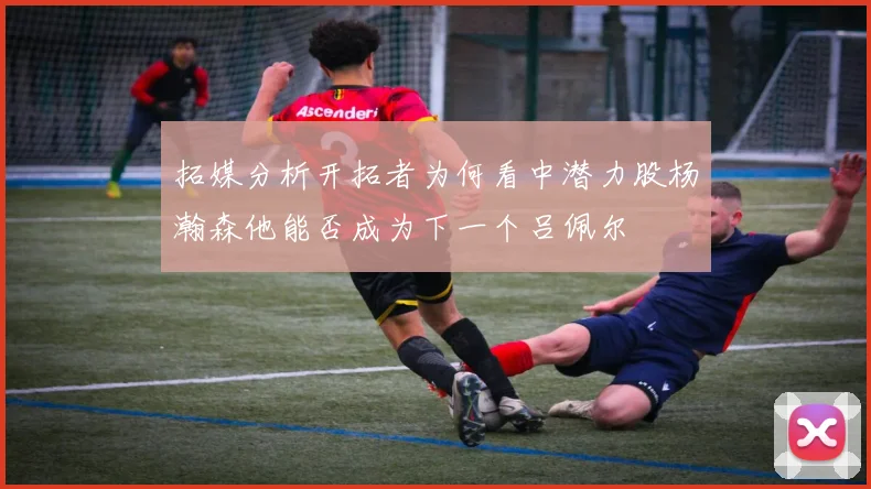 拓媒分析开拓者为何看中潜力股杨瀚森他能否成为下一个吕佩尔